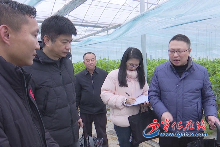 省農業(yè)廳到寧化縣開展“兩直兩前”調研 助力農業(yè)生產開門紅