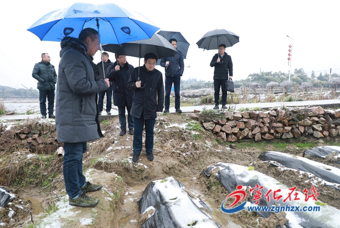 寧化縣領(lǐng)導(dǎo)開展農(nóng)業(yè)生產(chǎn)和防寒抗凍工作督促調(diào)研