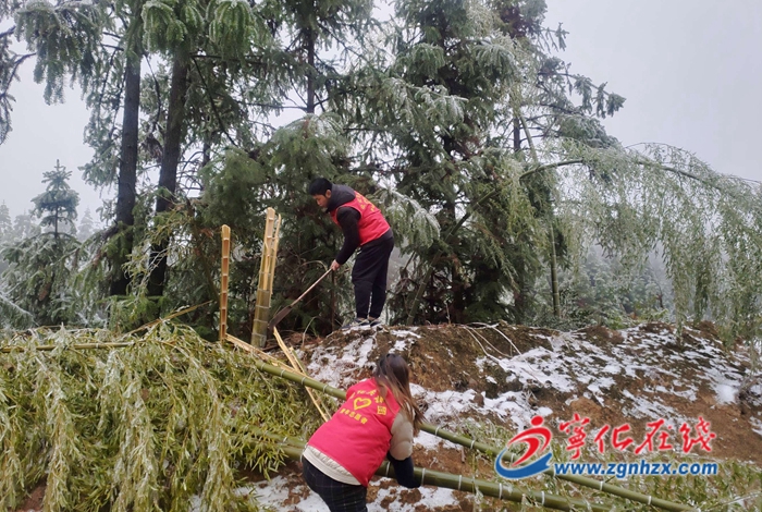 寧化：多管齊下御寒潮，心系群眾暖人心