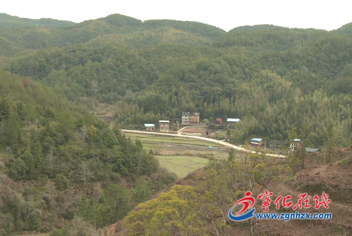 寧化：持續(xù)松林改造 奮力實現(xiàn)“開門紅”