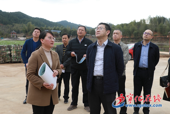 寧化縣領(lǐng)導(dǎo)開展紅色文旅項目工作督促調(diào)研