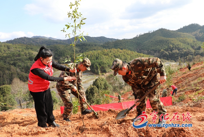 寧化:軍民攜手義務植樹