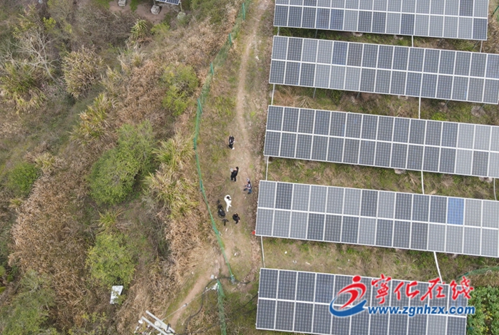 寧化淮土鎮:光伏發電增強村集體經濟“造血”功能