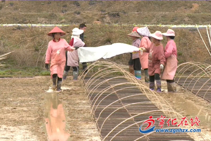 寧化:春耕備耕正當時 不負農(nóng)時不負春