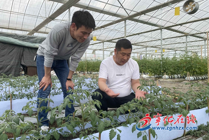 寧化：“百名導師扶百村”賦能鄉村振興