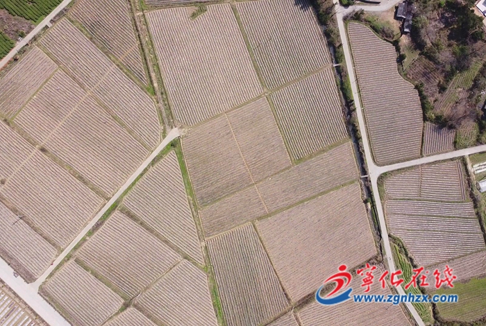 寧化：保障糧食生產(chǎn)，促進(jìn)農(nóng)業(yè)增產(chǎn)增效