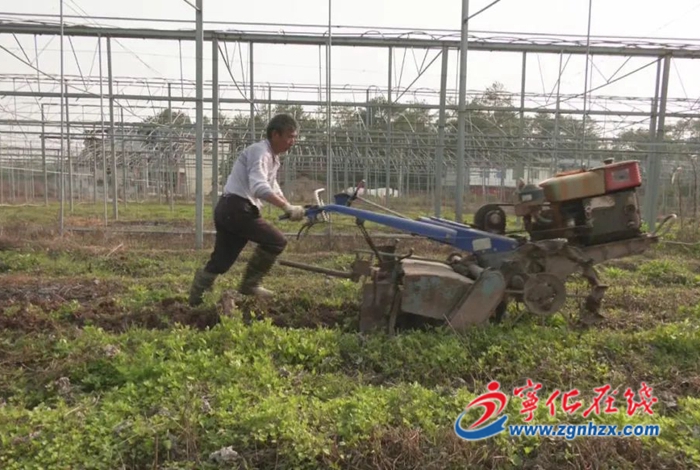 寧化：培植農(nóng)產(chǎn)品產(chǎn)業(yè)落地 奮力實現(xiàn)“開門紅”