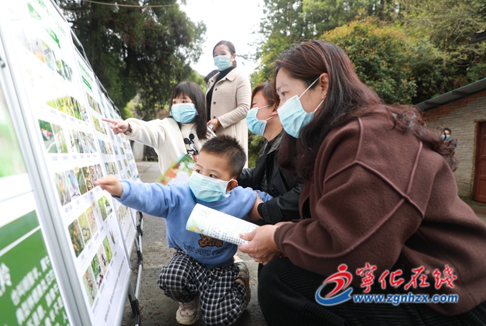 愛(ài)鳥(niǎo)護(hù)鳥(niǎo)，寧化在行動(dòng)