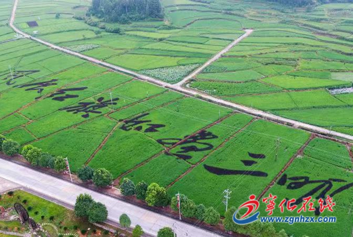 寧化:春耕備耕忙 農田氣象新