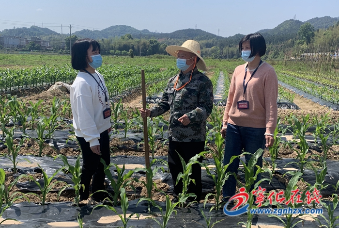 寧化:地頭忙監督 百姓心里安