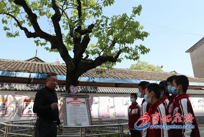 寧化曹坊有棵紅軍樹