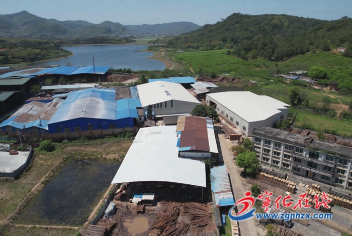 寧化縣湖村鎮:壯大木材產業,助力鄉村振興