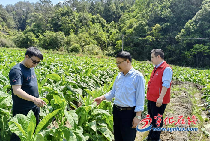 寧化聯(lián)社積極開展災(zāi)后精準(zhǔn)幫扶工作