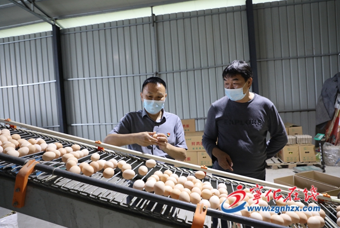 曾顯榮：鄉村振興路上的追夢人