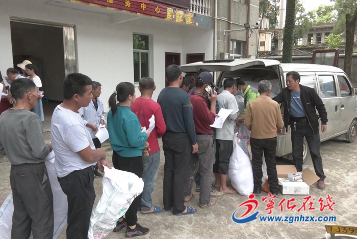 寧化:免費(fèi)發(fā)放700畝稻種,積極開(kāi)展生產(chǎn)自救