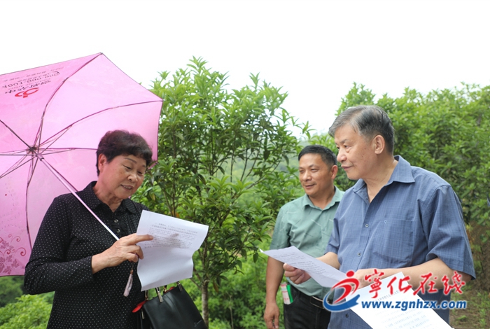 三明鄉村振興促進會調研組到寧化調研