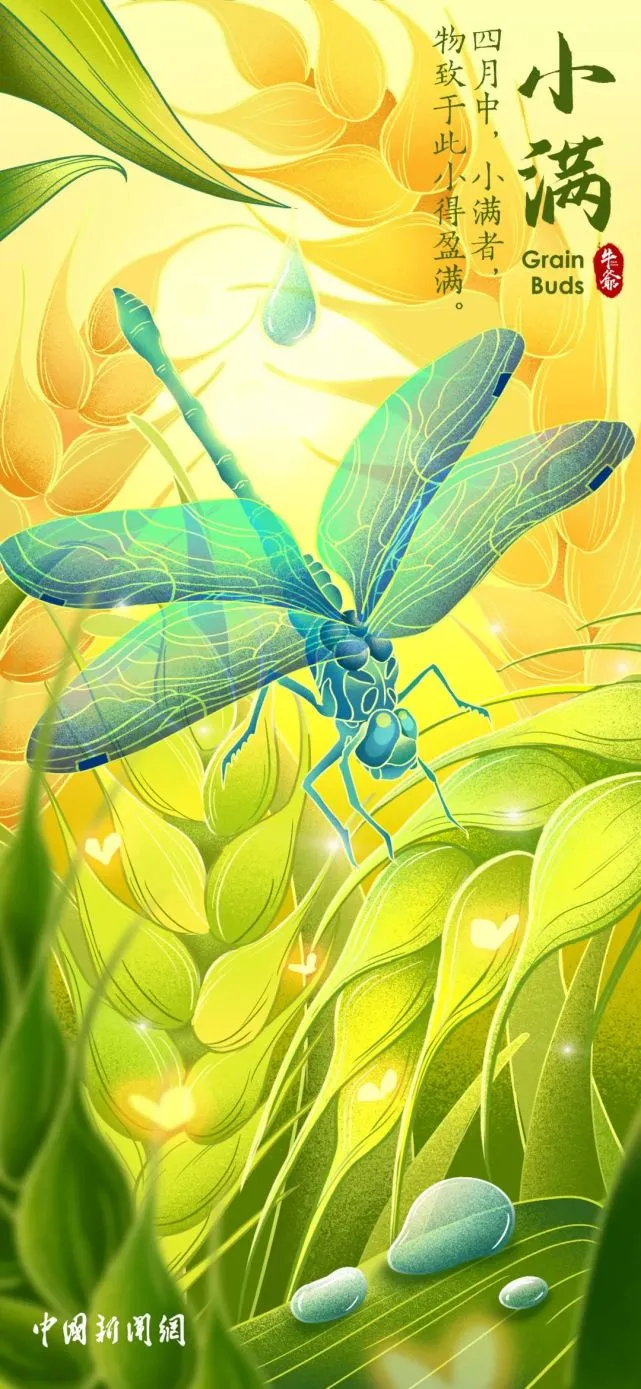 【網絡中國節·小滿】二十四節氣：今日小滿 小得盈滿