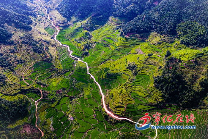 海創(chuàng)會即將“上線”！寧化邀請7家企業(yè)參會