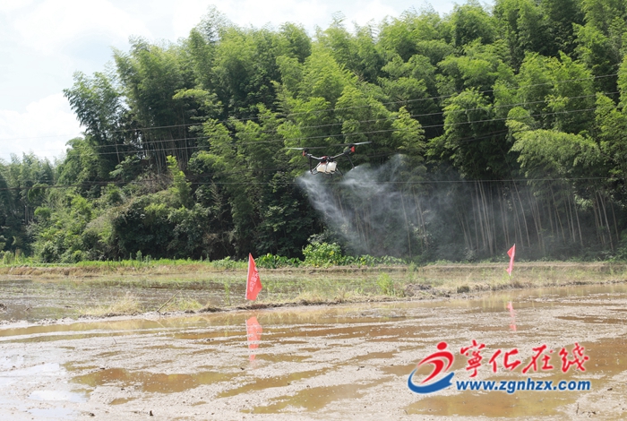 寧化:無人機“飛播”顯身手