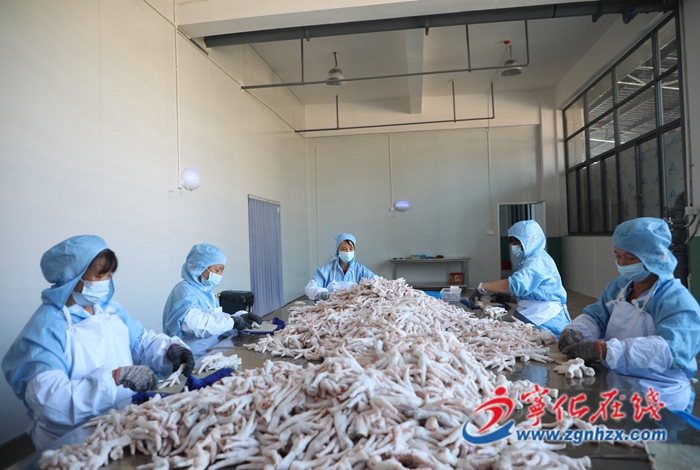 寧化：去骨雞爪產(chǎn)銷兩旺