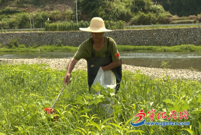 青山綠水是無價之寶|邱德福:水茜溪的“最美守護者”