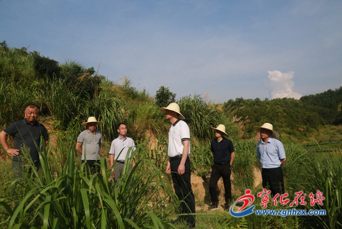 縣領(lǐng)導(dǎo)開展鄉(xiāng)村振興及糧食安全工作調(diào)研