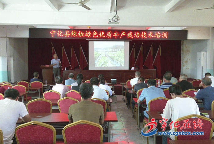 寧化:舉辦辣椒生產現場會