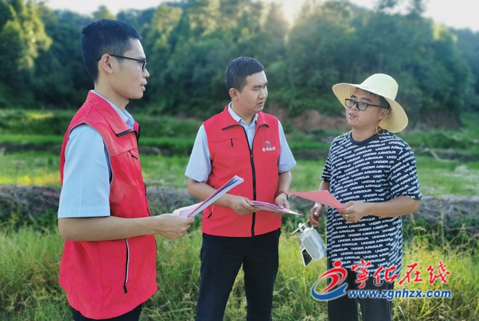 寧化:金融“及時雨”闖出新“稻”路