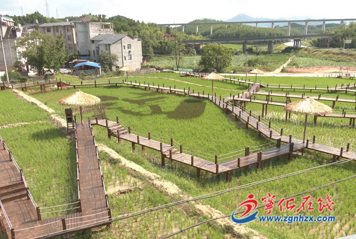 城郊鎮:特色近郊游助力鄉村振興