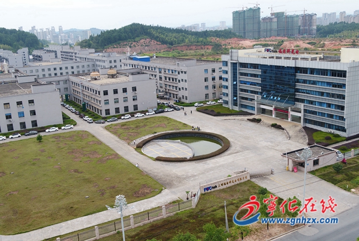 喜迎二十大|寧化:深化對接 力促項目落地見效