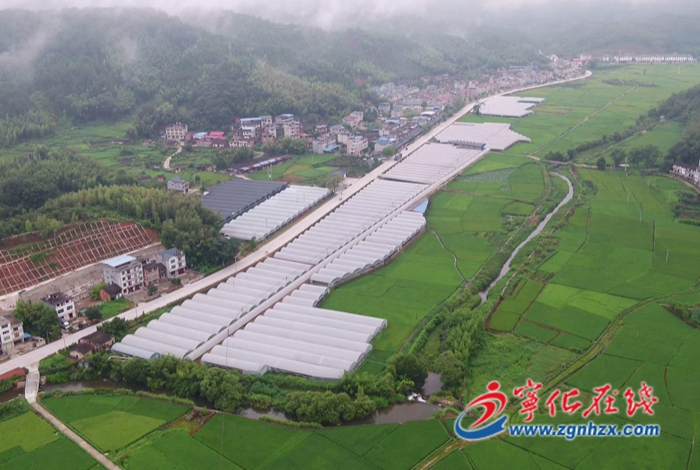 樂(lè)購(gòu)三明|寧化：返鄉(xiāng)創(chuàng)業(yè)“新農(nóng)人” 跑出鄉(xiāng)村振興“加速度”