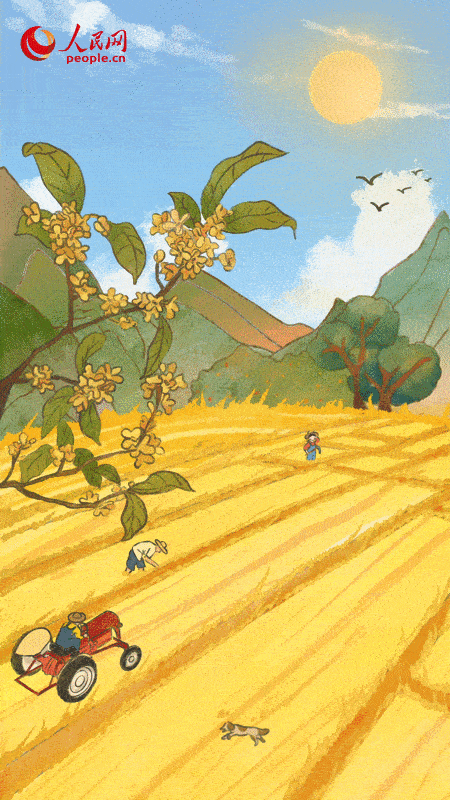 【網(wǎng)絡(luò)中國節(jié)?秋分】今日秋分，和豐收撞個滿懷~