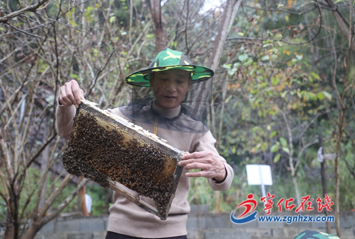 退伍老兵施河林的“甜蜜”事業(yè)