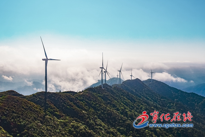 政府工作報(bào)告解讀 |產(chǎn)業(yè)轉(zhuǎn)型邁出堅(jiān)實(shí)步伐