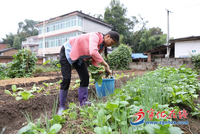 葉香:用愛和責任撐起一個家