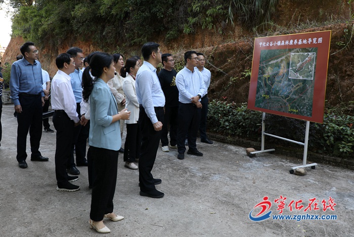 寧化縣深入學習“千萬工程”經驗建設寧化美麗鄉村現場推進會召開