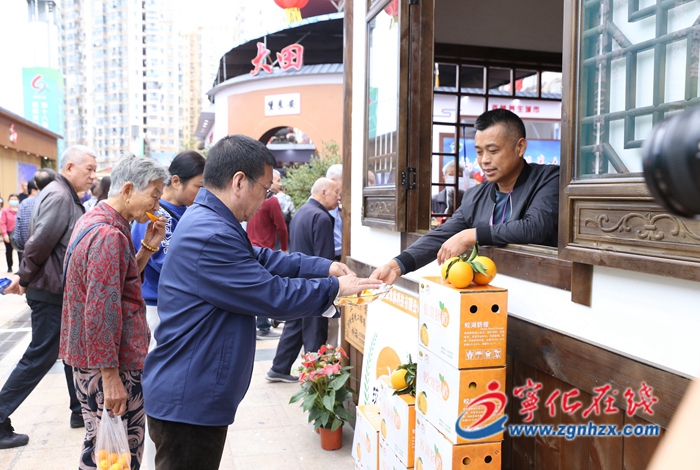 聚焦林博會|寧化:依托林博會平臺進一步深化嘉寧交流合作