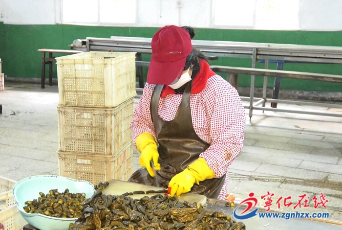 寧化:開展黨建“大體檢” 機關聯村凝“星”聚力促振興