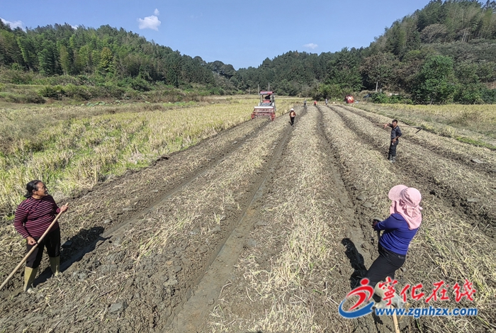 寧化：人才回引 激活鄉村振興“冬眠田”