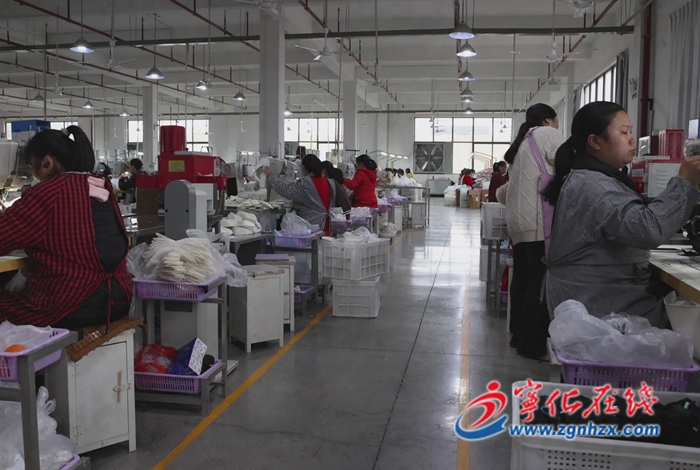 深學爭優 敢為爭先 實干爭效|寧化城南鎮：走訪企業問需求 精準服務促發展