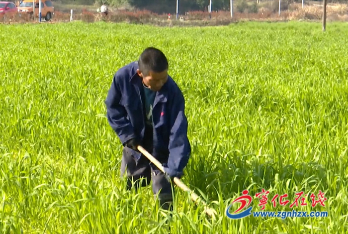 寧化湖村鎮(zhèn):推進(jìn)糧油基地建設(shè) 打造鄉(xiāng)村振興樣本