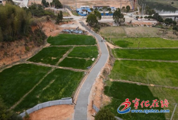 深學爭優 敢為爭先 實干爭效 | 河龍貢米高標準示范基地項目有序推進