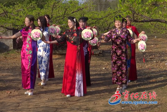 寧化:踏春賞花 傳統(tǒng)服飾扮靚春色
