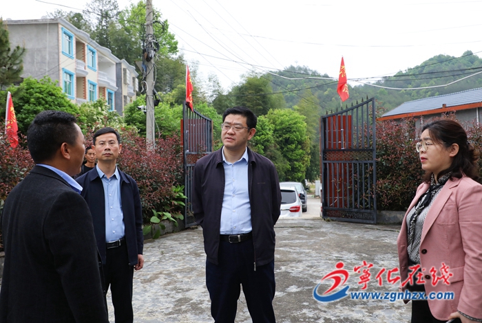 寧化縣領導開展鄉村振興工作專題調研