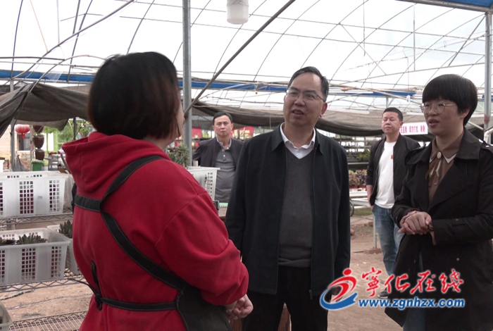 省林業局調研組到寧化調研林業產業