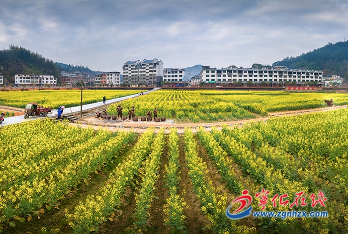 治平畬族鄉：推進環境整治，扮靚鄉村“顏值”