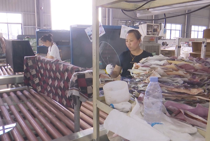 寧化明玥玻璃：產(chǎn)銷兩旺 工人忙生產(chǎn)