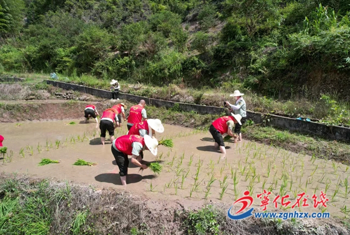 明溪、清流兩縣高速征管所來寧開展“我在鄉(xiāng)間有畝田”黨員志愿活動