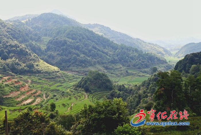 寧化縣水茜鎮:以黨建引領抓實“書記領辦項目”