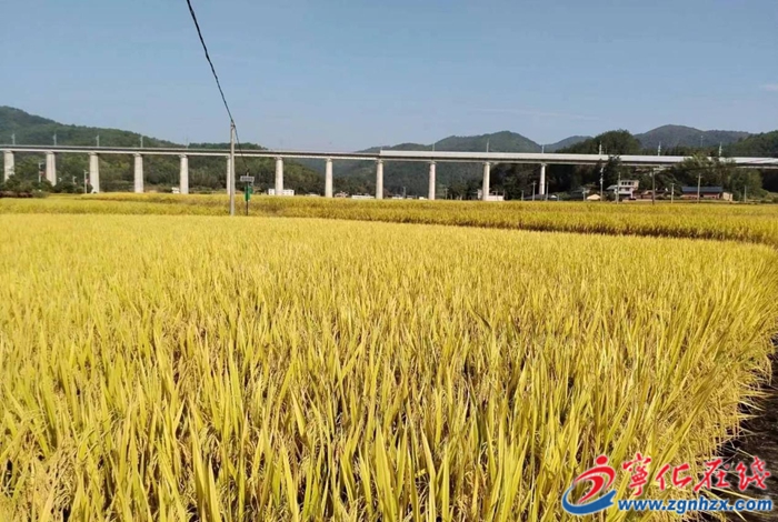 寧化隆陂水庫助力石壁鎮農業豐收